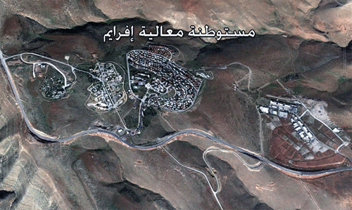 مستوطنة